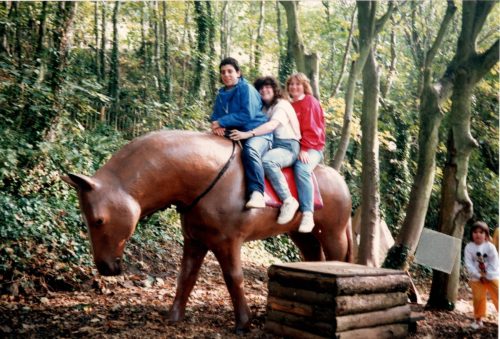 Horse ride anyone?